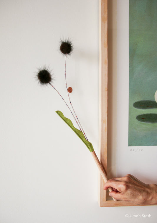 Prickly sea urchin teaser