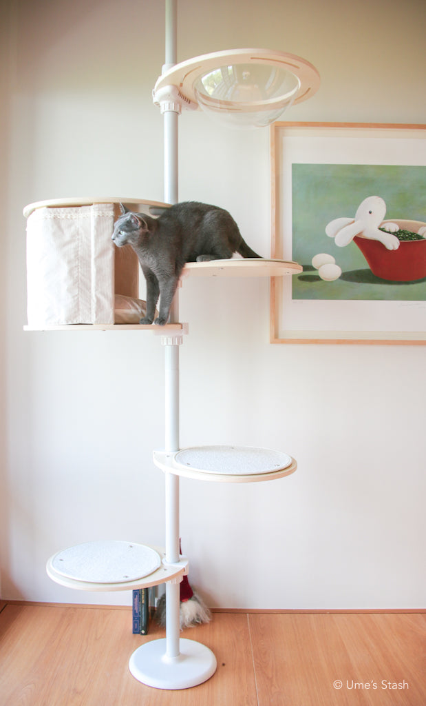 Treehouse in cat pole tower