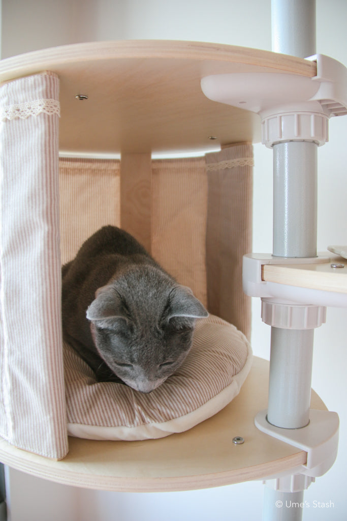 Cat in treehouse in cat pole tower