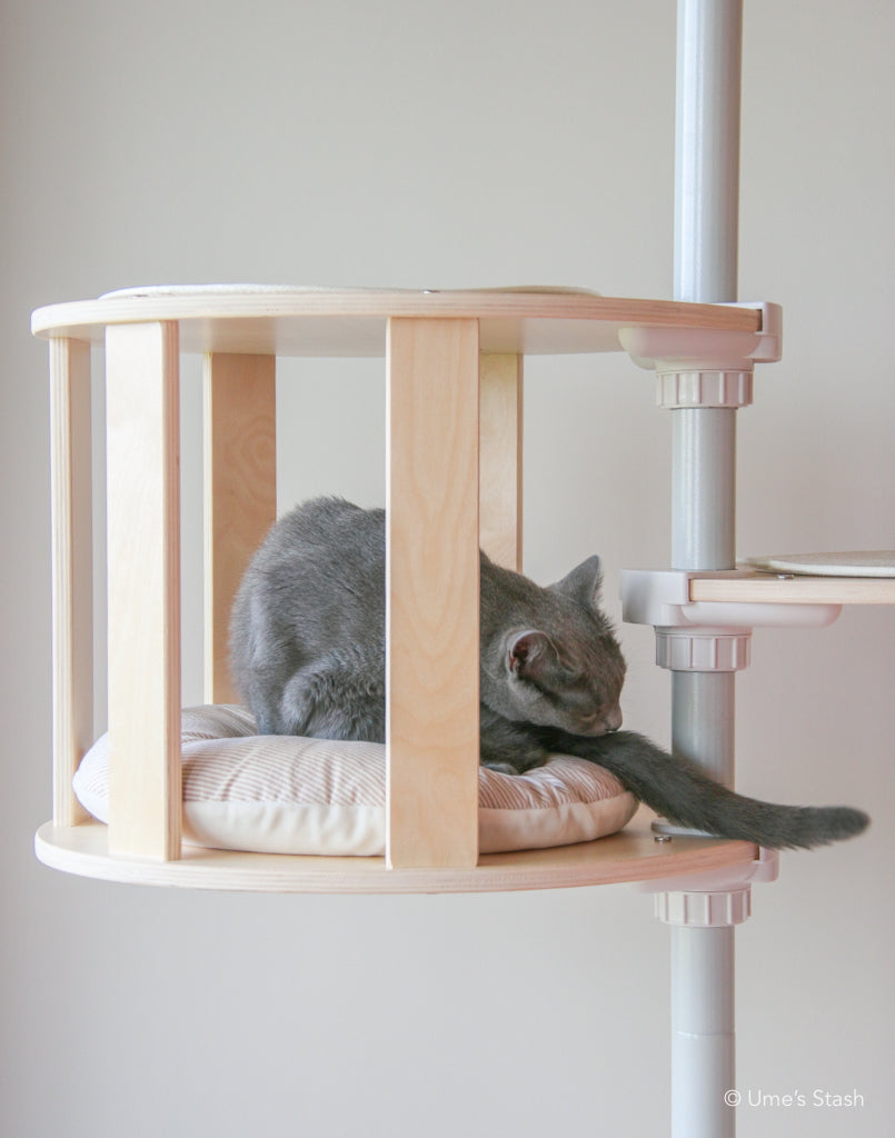 Cat in hideout in cat pole tower