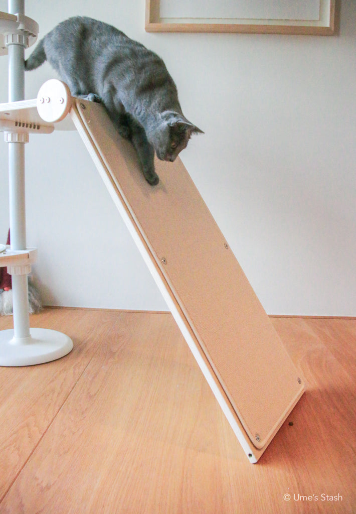 Cat running down ramp on cat pole tower