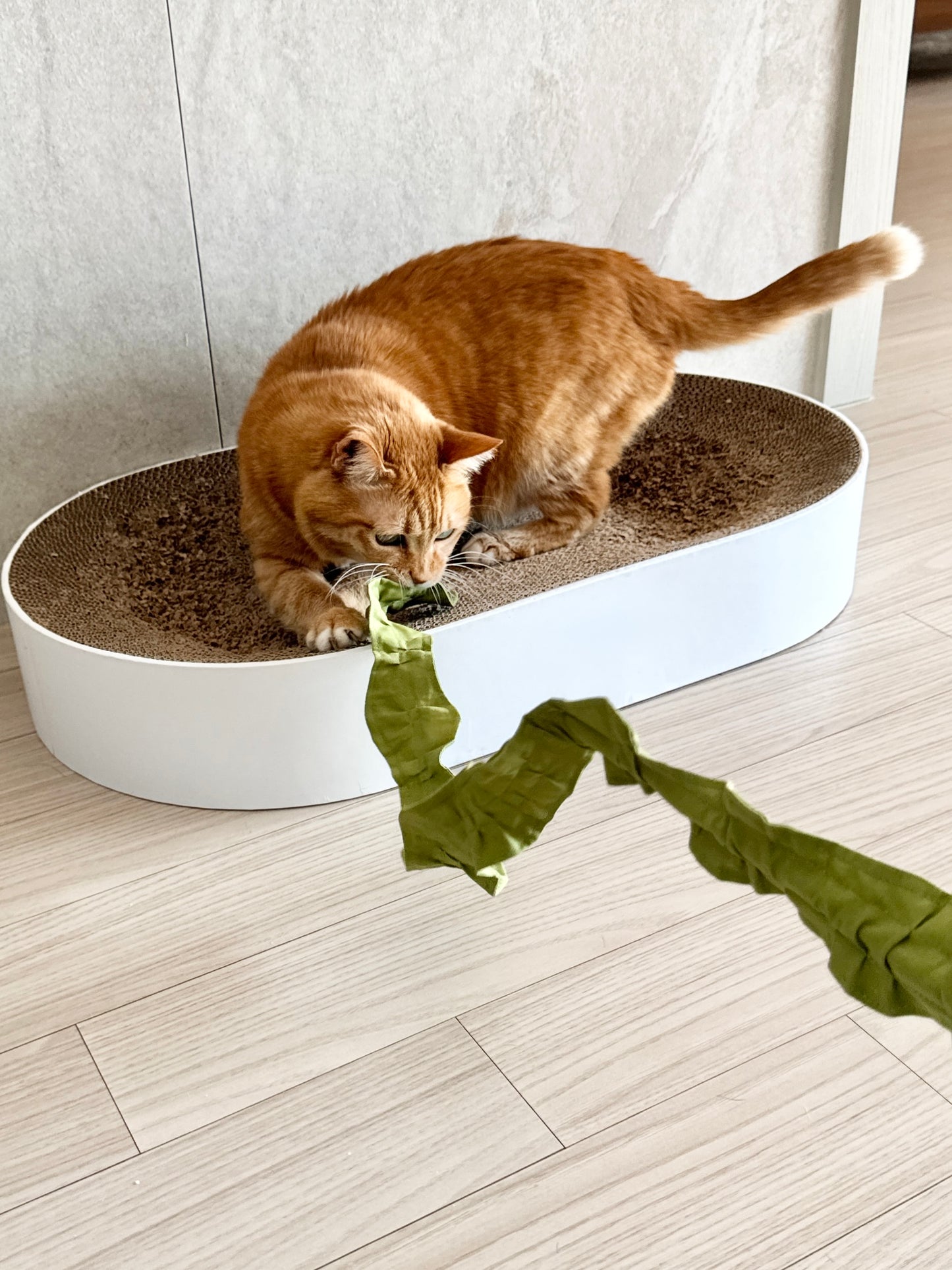 Floppy seaweed teaser