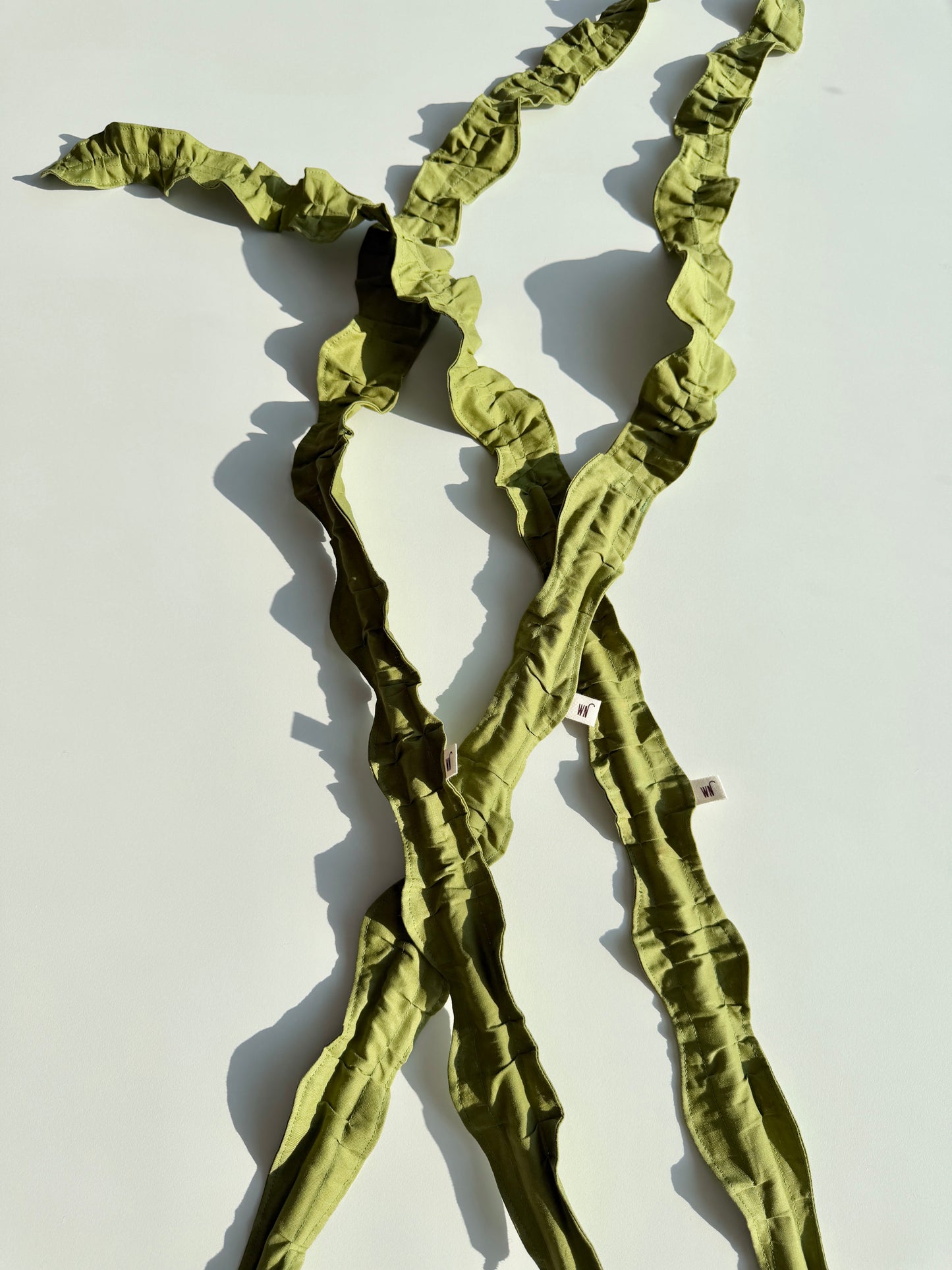 Floppy seaweed teaser