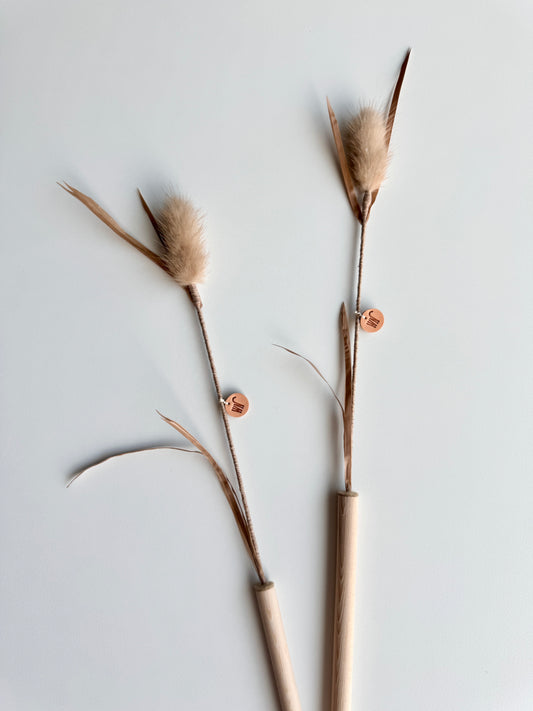 Wheat stalk teaser