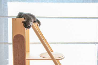 Gingko bookshelf cat tree