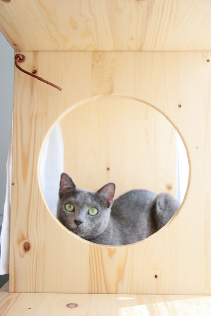 Gingko bookshelf cat tree