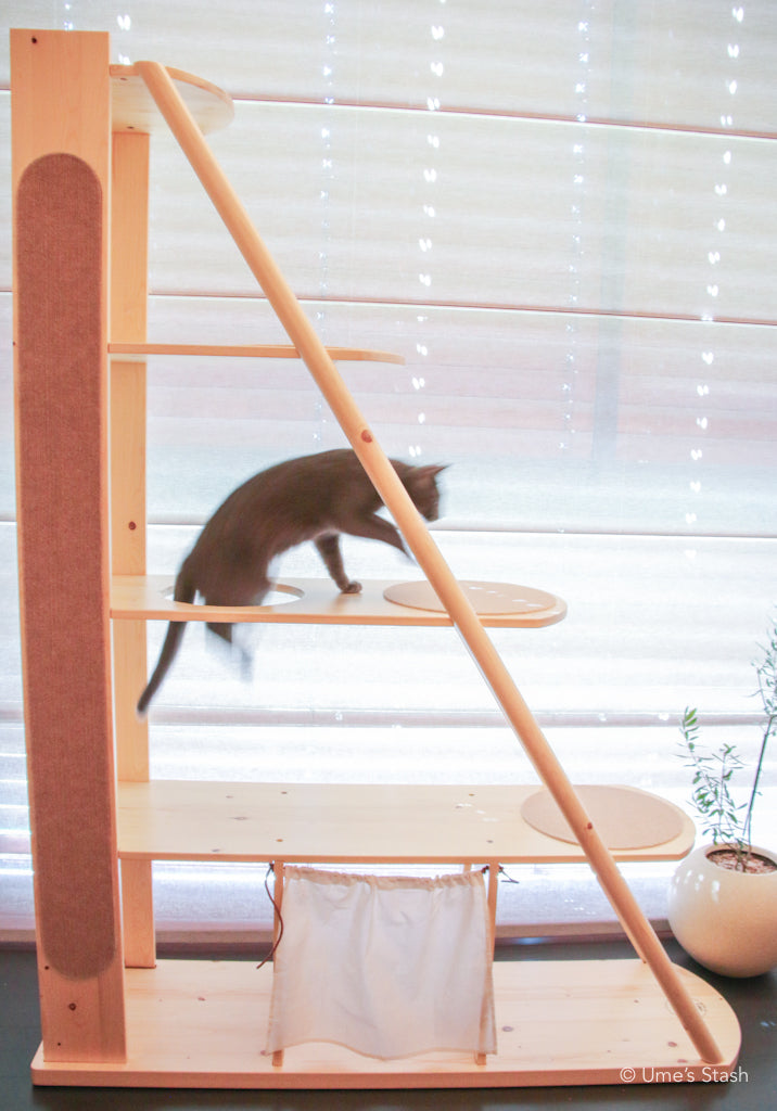 Gingko bookshelf cat tree