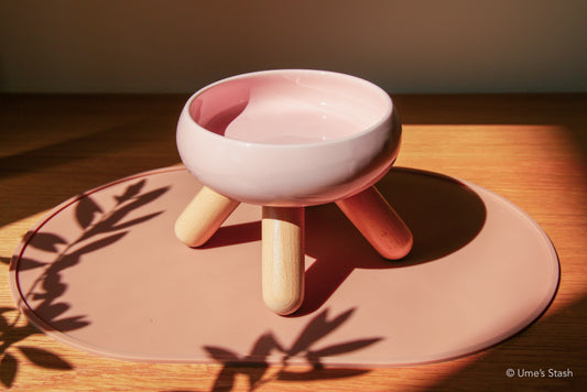Terracotta pet bowl mat
