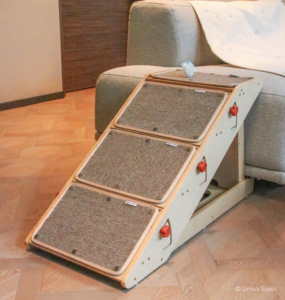 Comet convertible step ramp