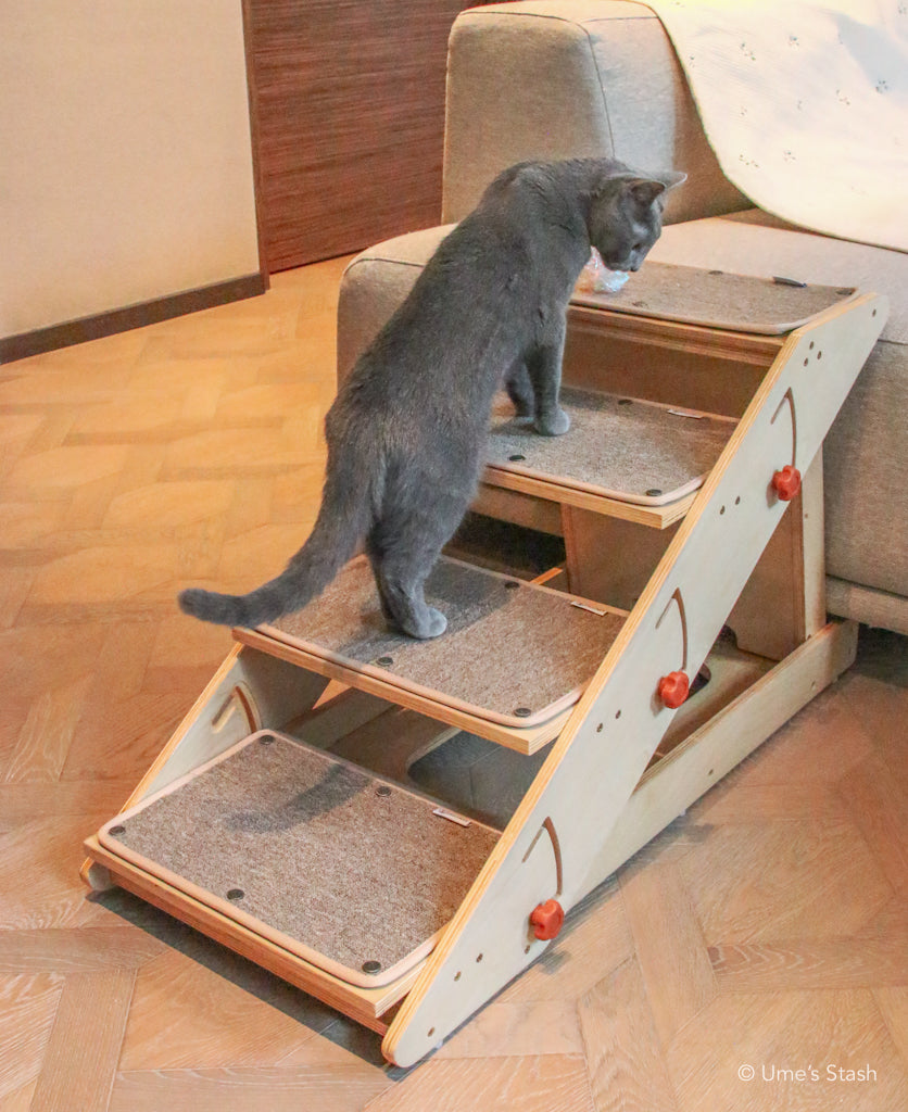 Comet convertible step ramp