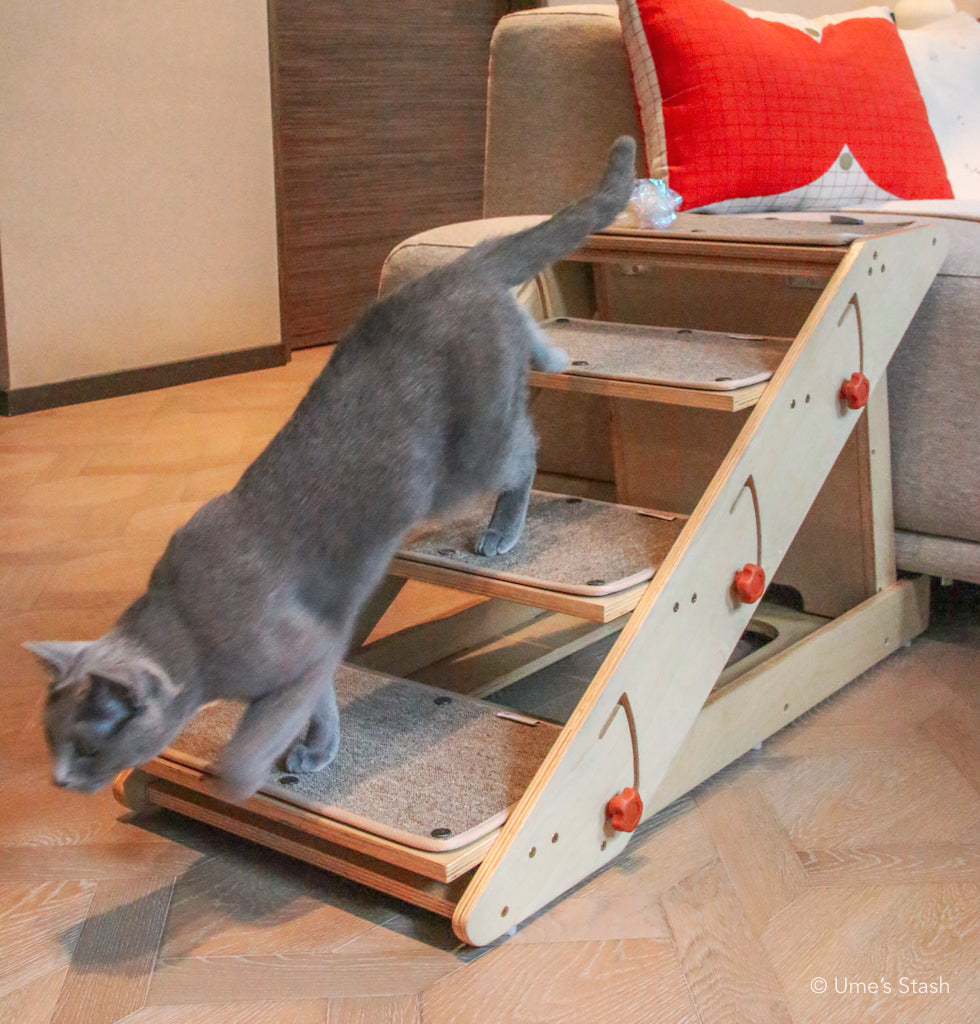 Comet convertible step ramp