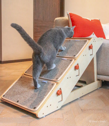 Comet convertible step ramp