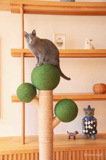 Bonsai scratching post