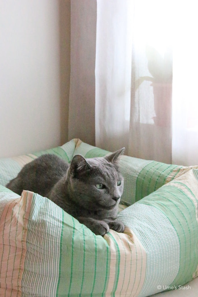 Sweet pea cushion bed