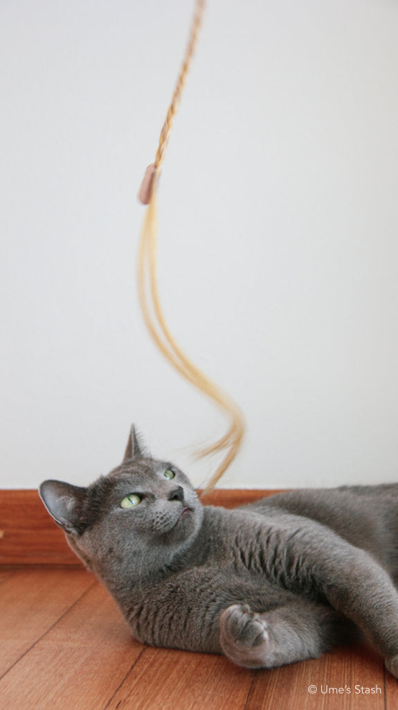 Ponytail cat teaser