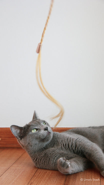 Ponytail cat teaser