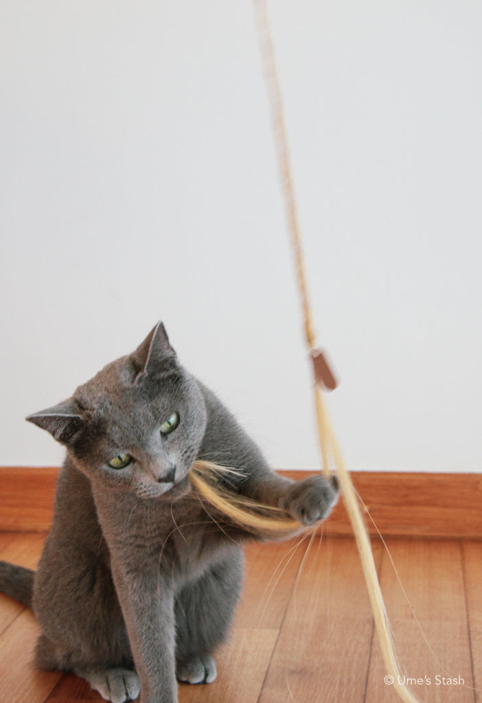 Ponytail cat teaser