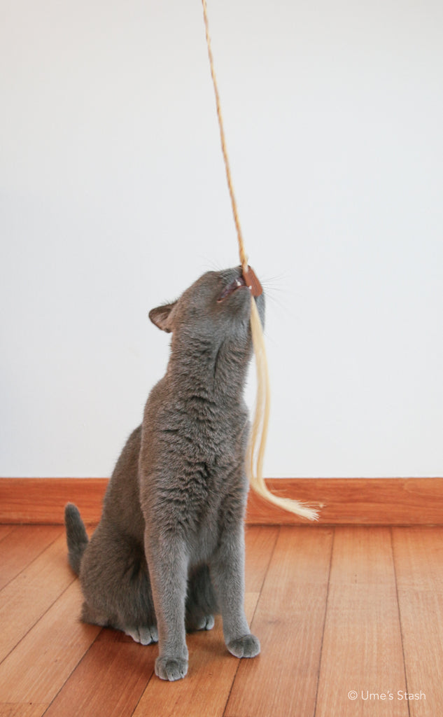 Ponytail cat teaser