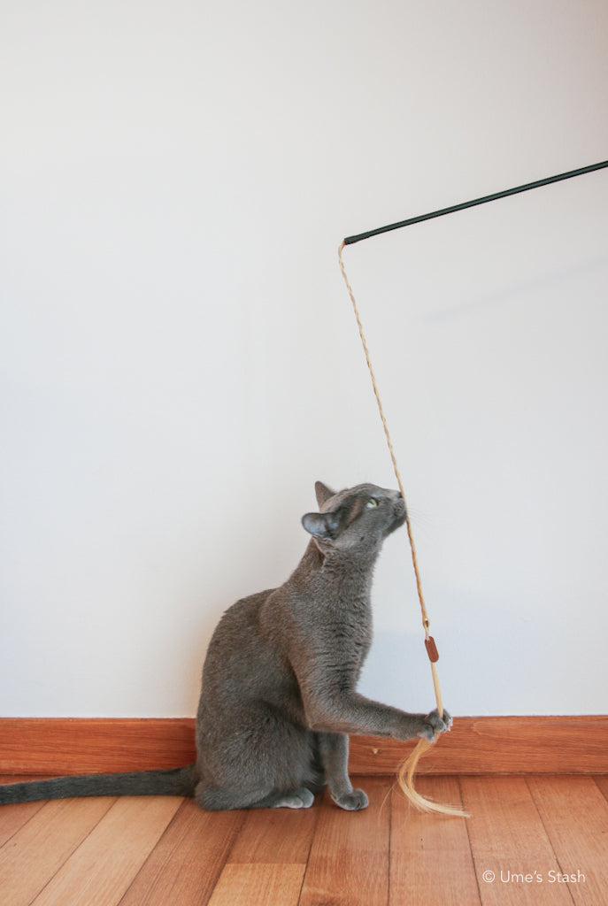 Ponytail cat teaser