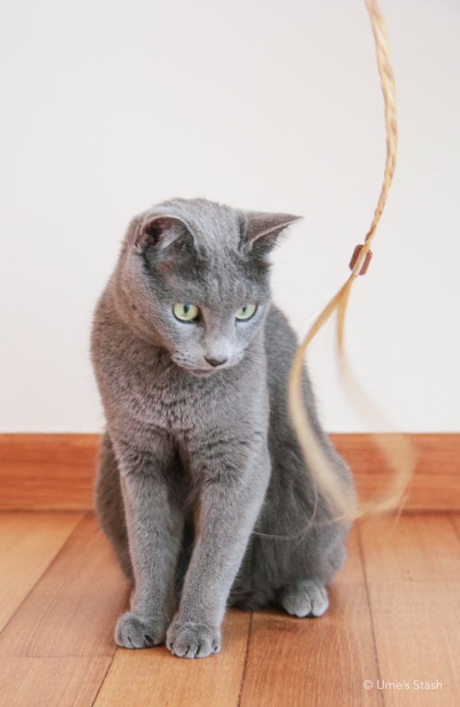 Ponytail cat teaser
