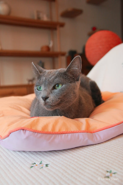 Fluffy Cloud pet cushion