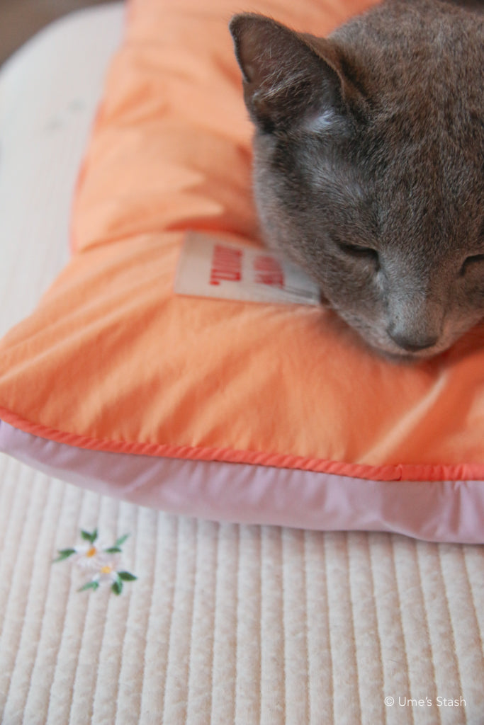 Fluffy Cloud pet cushion