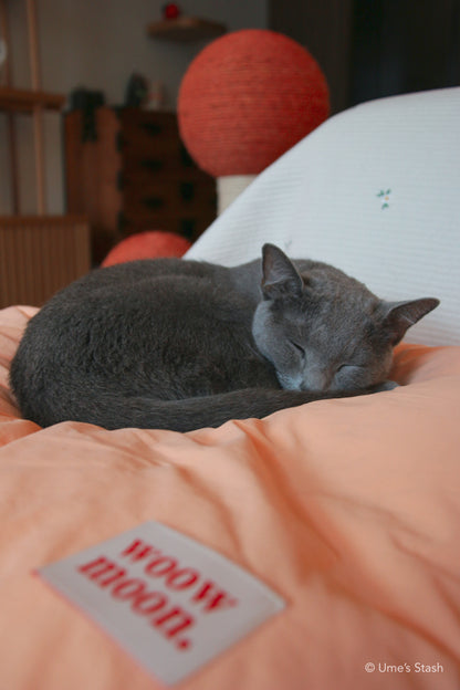 Fluffy Cloud pet cushion