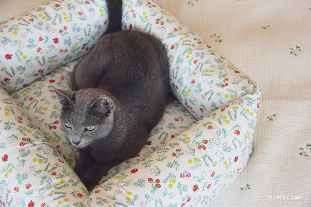 Toadstool cushion bed