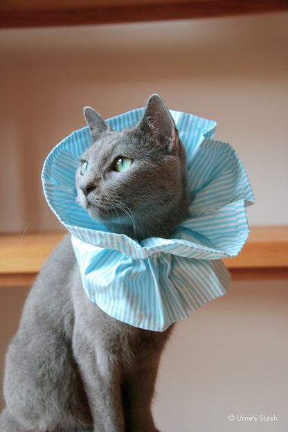 Candy-cane Elizabethan collar