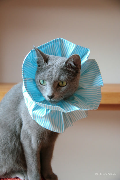 Candy-cane Elizabethan collar