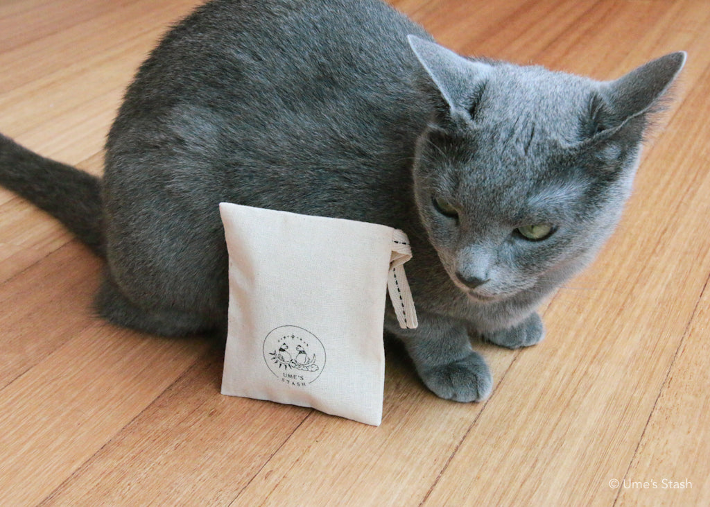 The Sprig Pest-Repellent Pouch & Scent Sachets