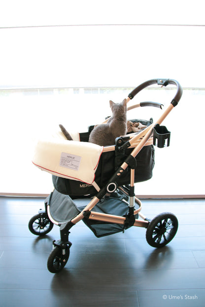 Pumpkin pet stroller (Merlie MW5)