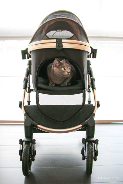 Pumpkin pet stroller (Merlie MW5)