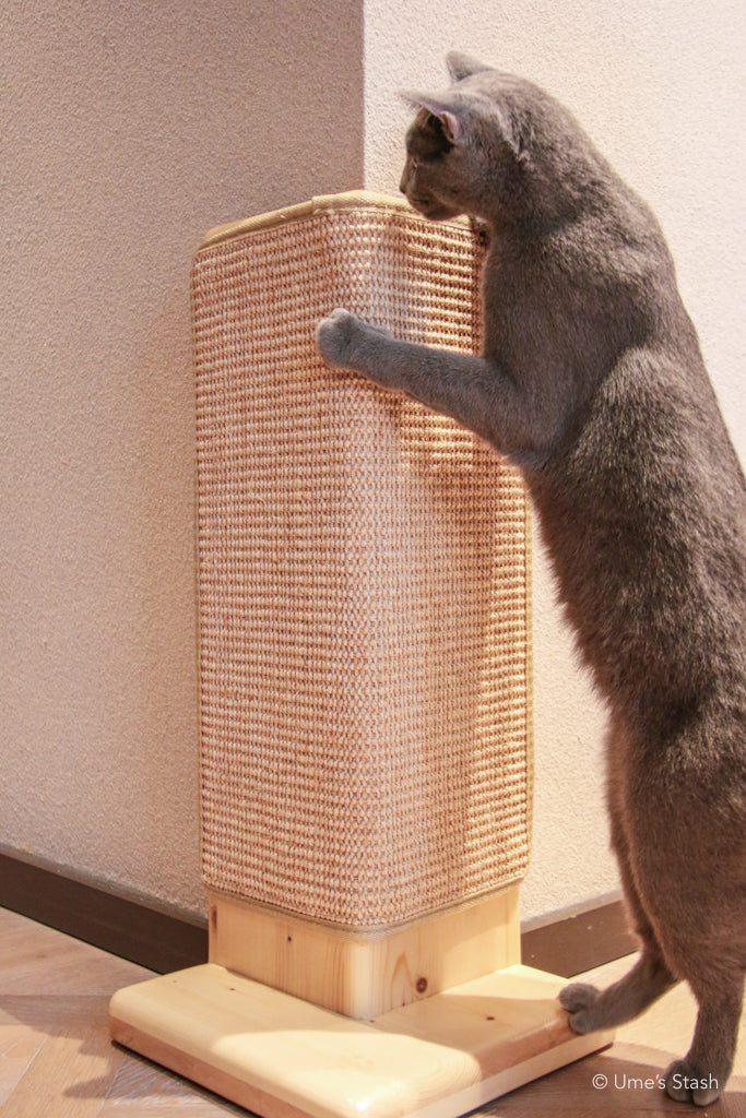 Willow scratching post ver. 2