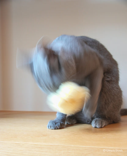 Fluffy chick toy