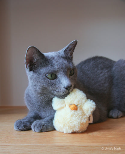 Fluffy chick toy