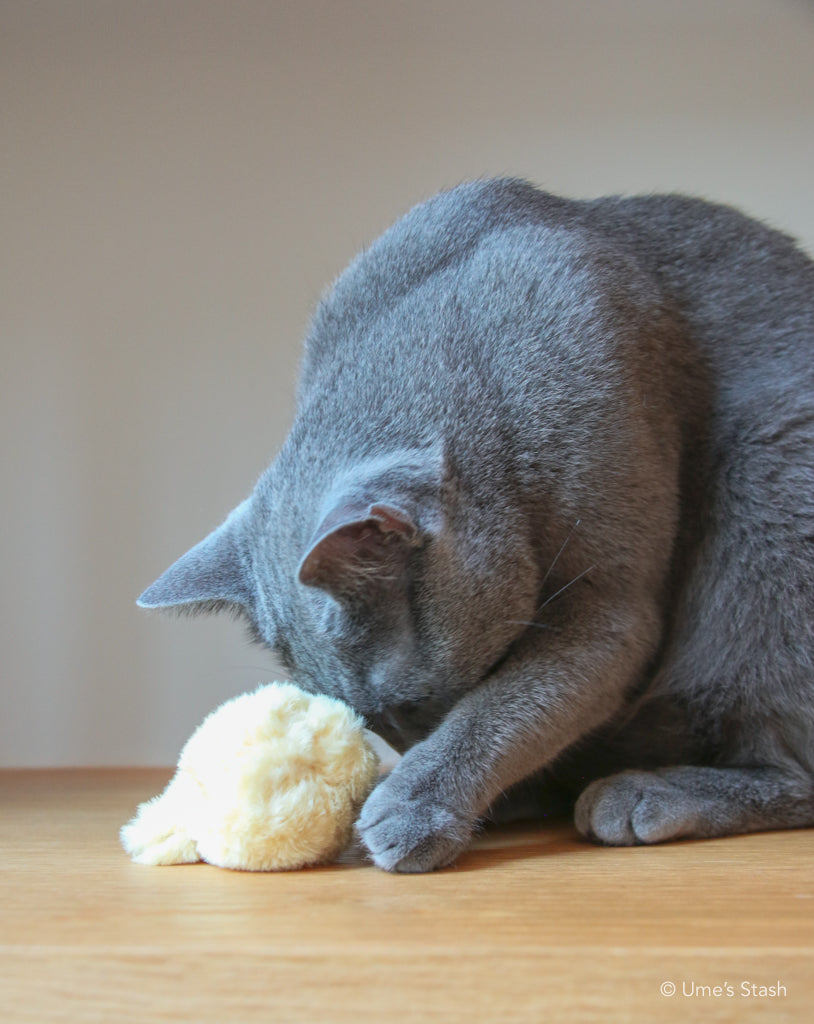 Fluffy chick toy