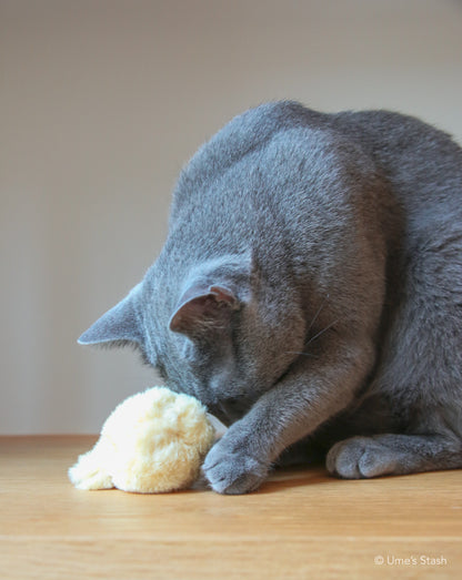 Fluffy chick toy