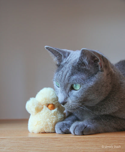 Fluffy chick toy