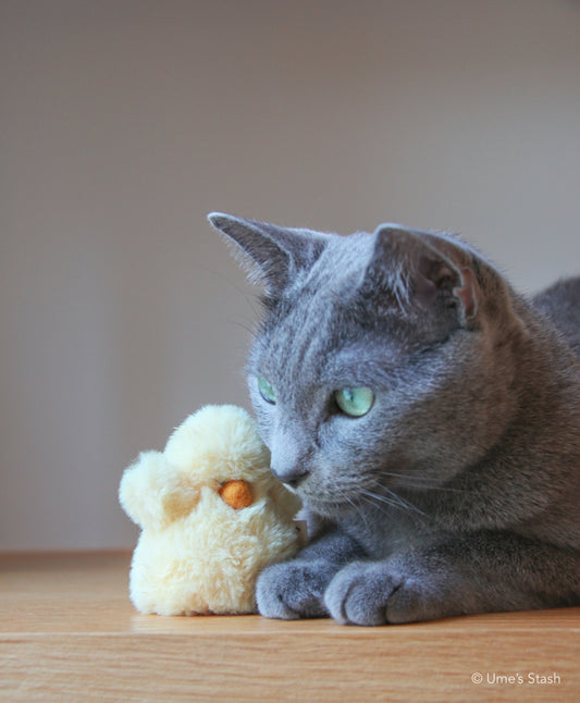 Fluffy chick toy