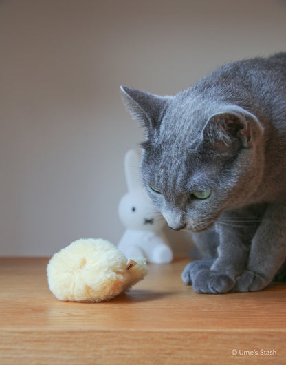 Fluffy chick toy