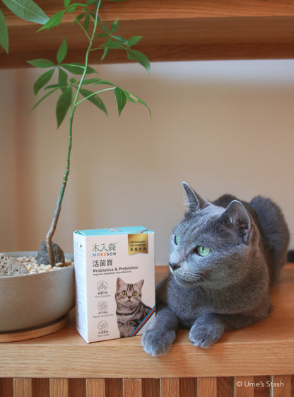 Cat Probiotics & Prebiotics