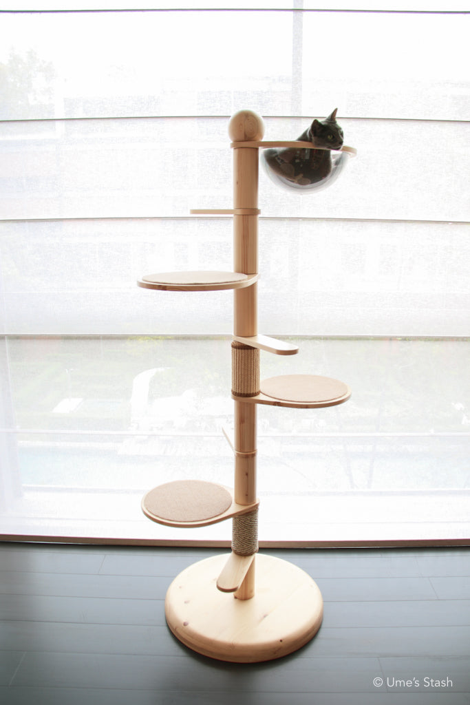 Juniper spiral cat tree