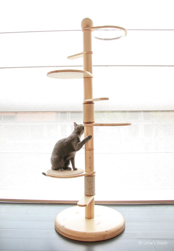 Juniper spiral cat tree