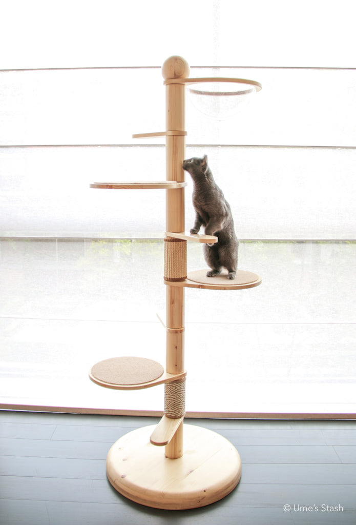 Juniper spiral cat tree