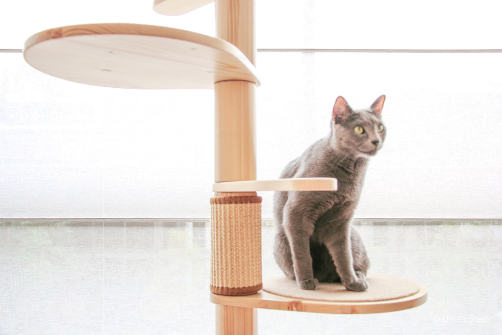 Juniper spiral cat tree