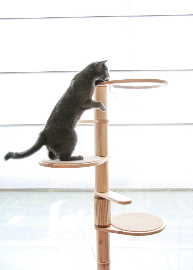 Juniper spiral cat tree
