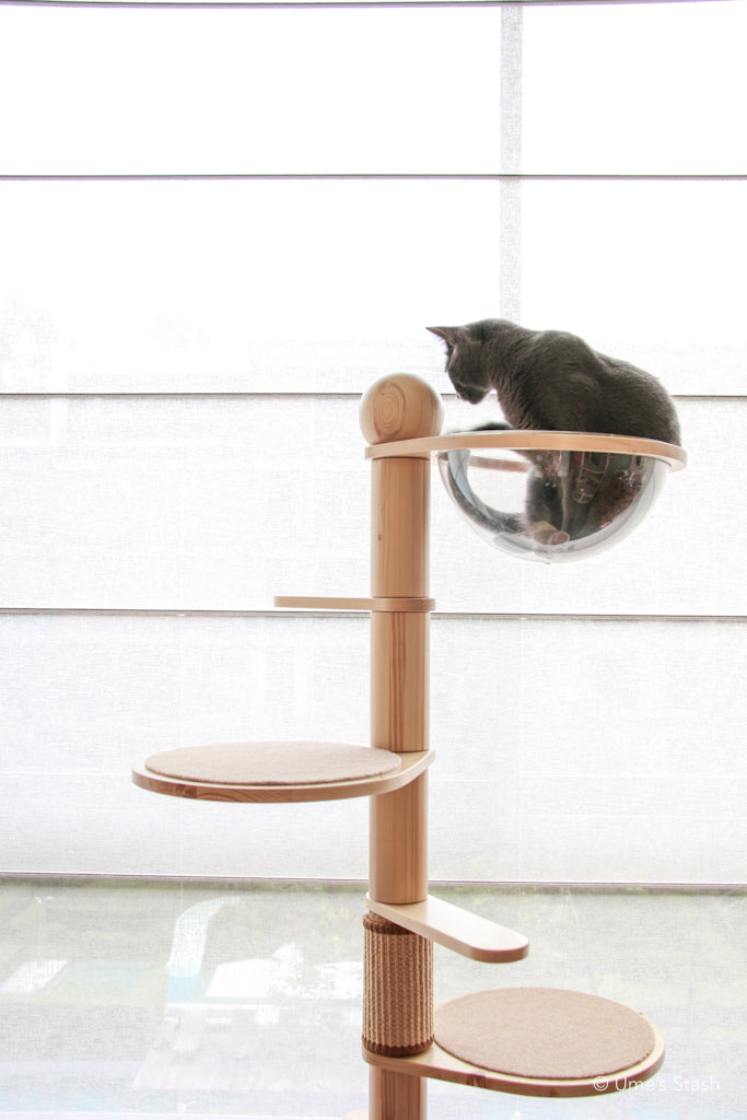 Juniper spiral cat tree