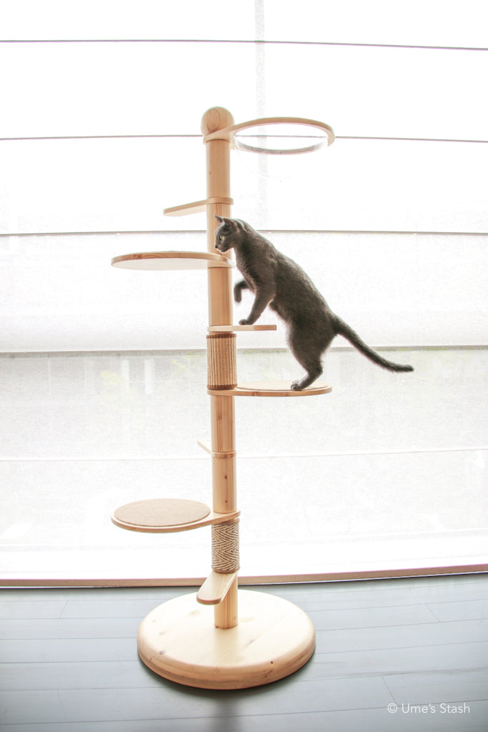 Juniper spiral cat tree