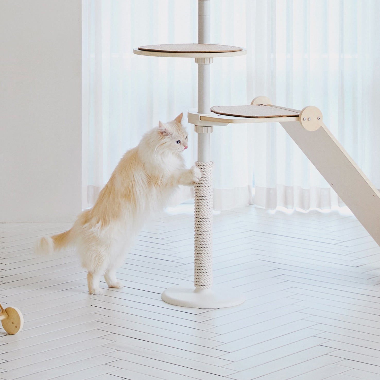 Scratching rope on cat pole tower